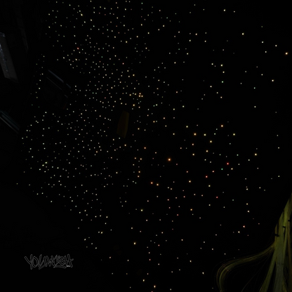 Duel Module Fibre Optic