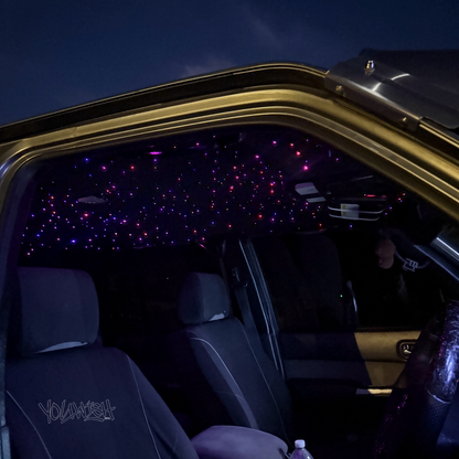 Duel Module Fibre Optic